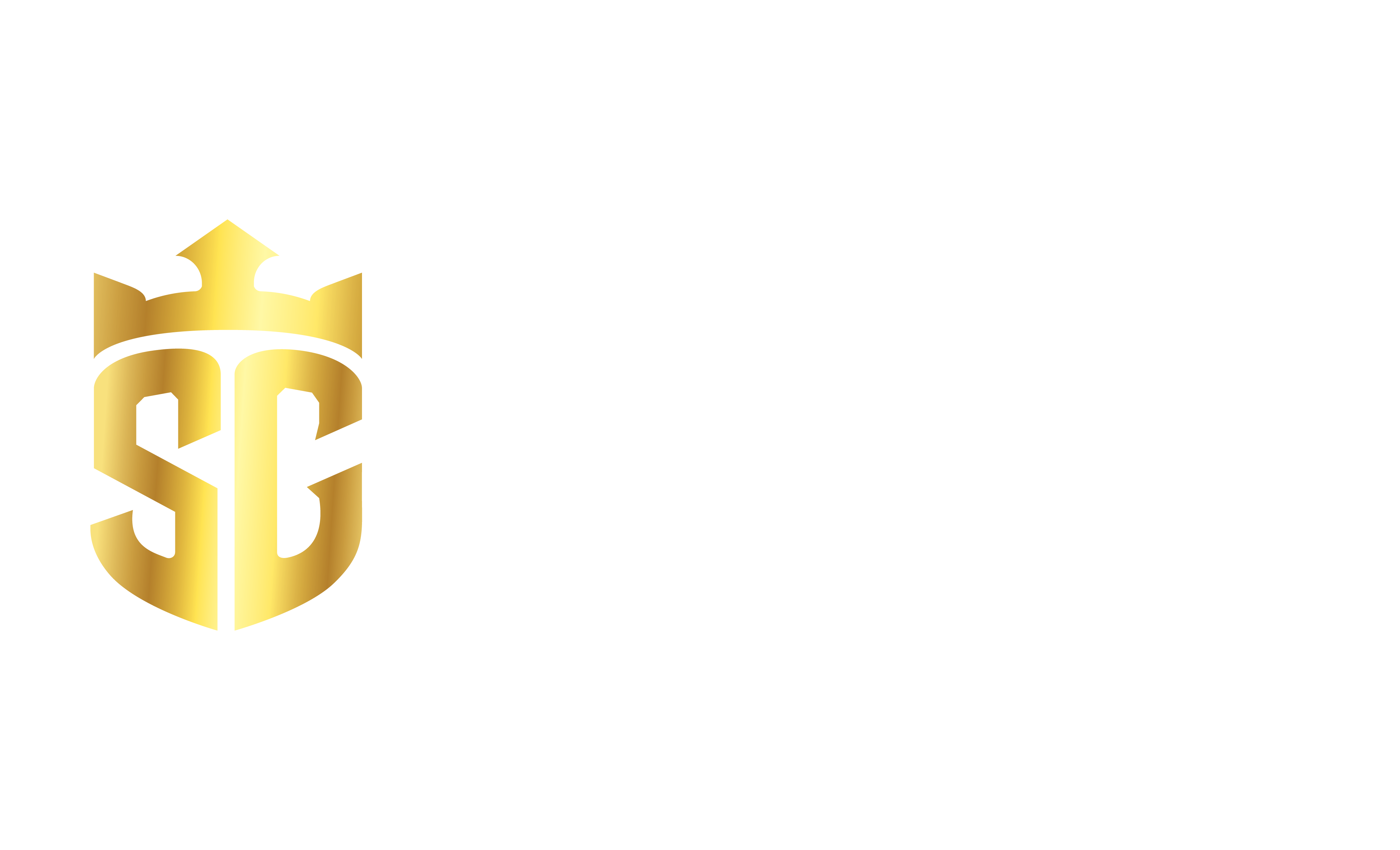 Storm-Guys-Logo-Side-WHT